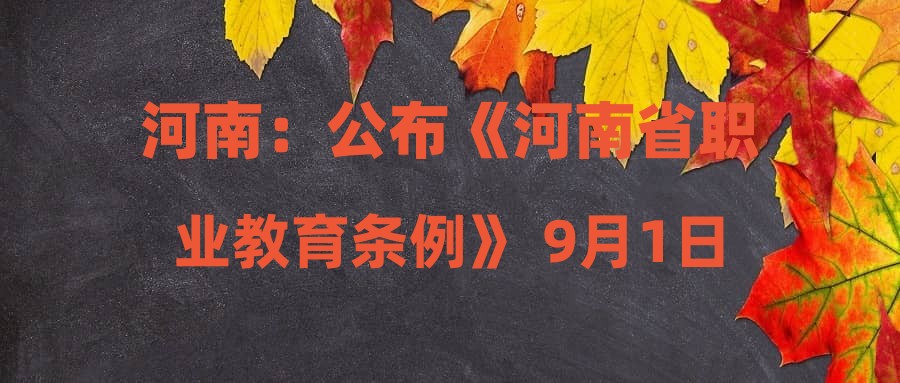 河南：公布《河南省职业教育条例》 9月1日起施行