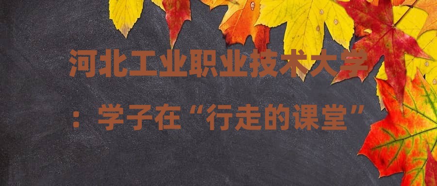 河北工业职业技术大学：学子在“行走的课堂”中成长有为