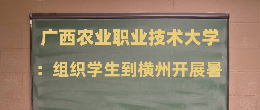 广西农业职业技术大学：组织学生到横州开展暑期“三下乡”活动